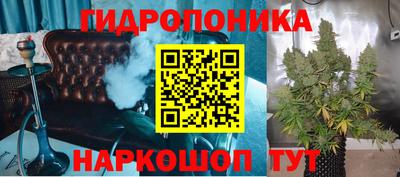 apvp Свободный